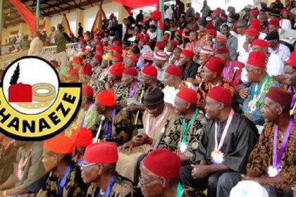 2027: ADC has stopped Nigeria from sliding into one-party state – Ohanaeze hails coalition