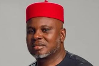 Ukachukwu criticizes APGA for fielding candidate to replace lawmaker killed by kidnappers