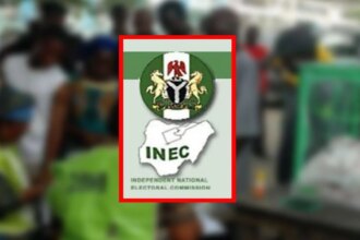 Elections: INEC seeks extended partnership with NOA