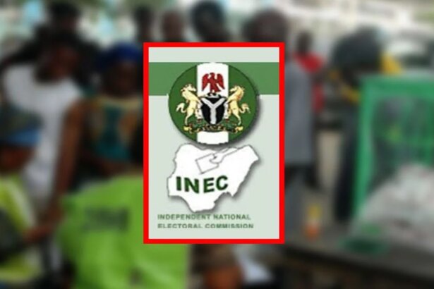 Elections: INEC seeks extended partnership with NOA